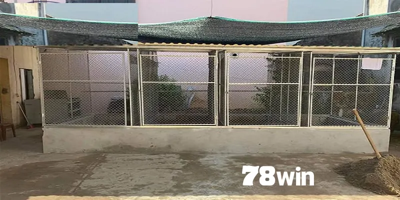 Cách Làm Chuồng Chạy Cho Gà Đá Giúp Chiến Kê Luyện Tập Bền Bỉ 4 Hướng dẫn các sư kê chi tiết cách làm chuồng chạy cho gà đá